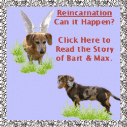 Ad
